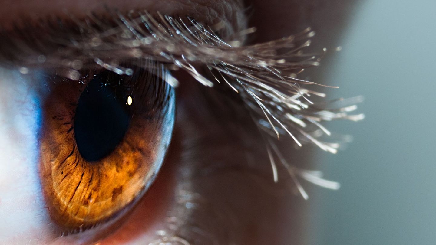 Das Auge eines Menschen in Nahaufnahme. Rund um die schwarze Pupille spiegelt sich ein feuerfarbenes Licht. Am oberen Augenlid erstrecken sich lange Wimpern.