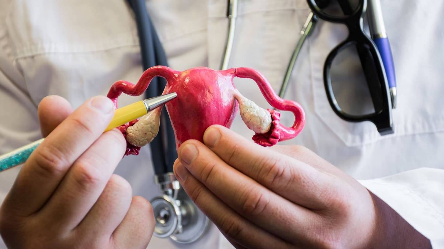 Doctor holding a model of a uterus and ovaries explaining something and pointing a pen at the uterus.