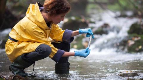 Женщина в непромокаемой одежде и защитных перчатках берет пробу воды из водоема.