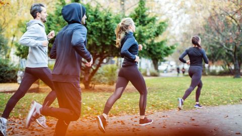 Gesund durch Bewegung: Eine Gruppe von vier jungen Menschen geht gemeinsam im Park joggen.