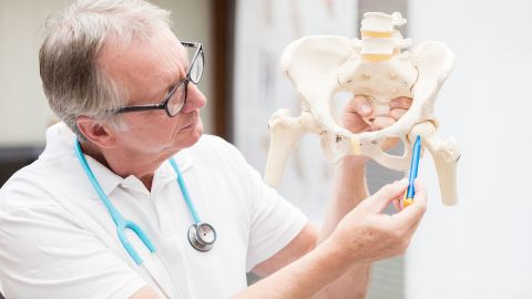 Doctor holding an artificial hip joint and pointing out a specific bone with a pen.