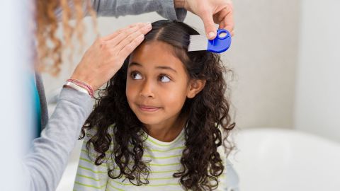 Head lice (nits): woman holding a comb in her hand and using it to comb a girl’s curly hair.