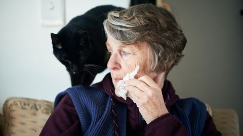 Animal allergy: woman sitting on a chair with black cat sitting on the backrest. The woman is holding a handkerchief to her face with one hand.