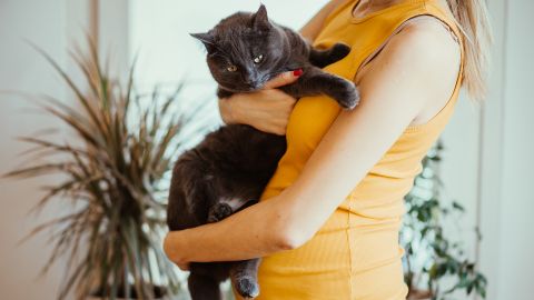 Hamile bir kadın kollarında siyah bir kedi tutuyor.